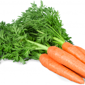 carrot