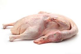 Duck meat